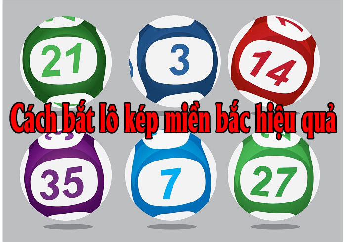 Lô kép miền Bắc